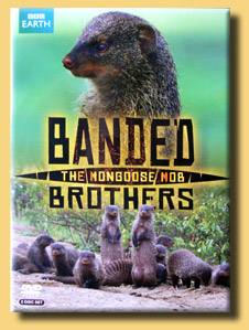 Band of Brothers - The Mongoose Mob