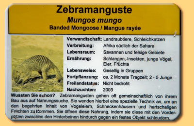 Sign at mongoose-enclosure in Landau