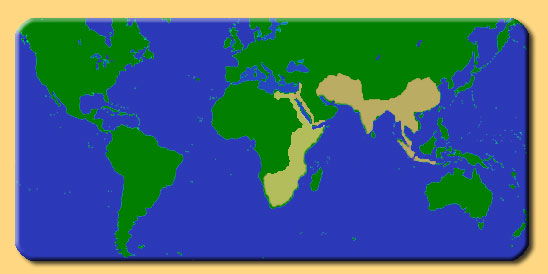 Mangusten-Verbreitung weltweit